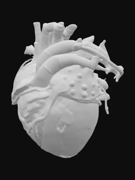 3D model for An HR Giger-inspired realistic heart, sculpted from a fusion of tarnished, dark chrome and glistening, ribbed organic tissue. Its distorted, muscular form is encased in a lattice of interwoven metallic cables and sinewy, bone-like structures, creating a chilling biomechanical aesthetic. The surface features a mix of polished, cold metal and slick, pulsating biological textures in desaturated grays, blacks, and deep venous reds, offering a disturbingly visceral and industrial tactile quality., #PBR#