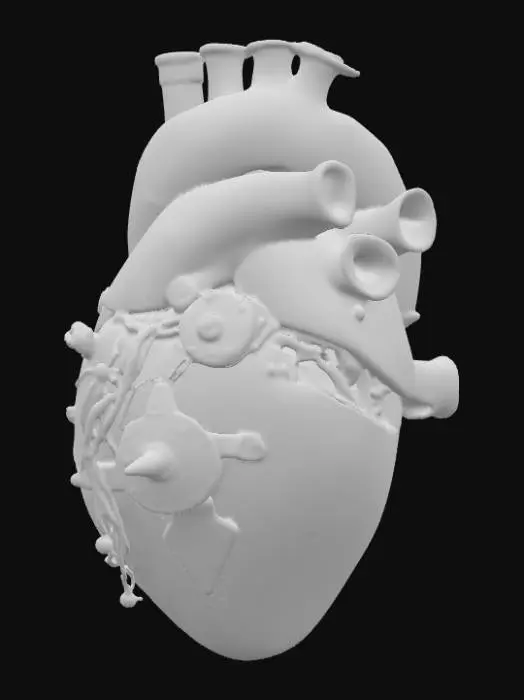 3D model for A realistic, pulsating biomechanical heart seamlessly fuses deep red, vascular muscle tissue with intricate mechanical components. Its anatomical form is interlaced with polished chrome plates and fine, silver wiring that mimic veins and arteries, giving it a hybrid organic-synthetic appearance. Tiny, visible gears and piston-like valves hum softly, suggesting internal machinery maintaining its rhythmic beat. The texture is a blend of smooth, resilient flesh and cool, hard metal, with a complex network of translucent tubes carrying vital fluids throughout its complex structure., #PBR#