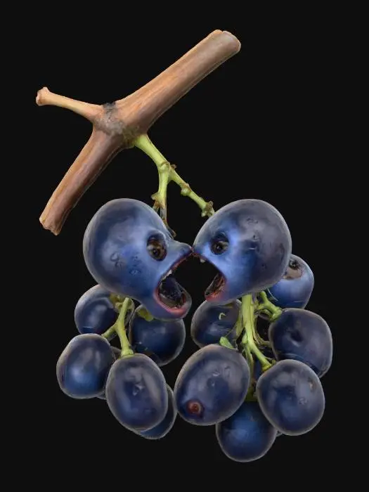 3D model for Grape Debate, #food#