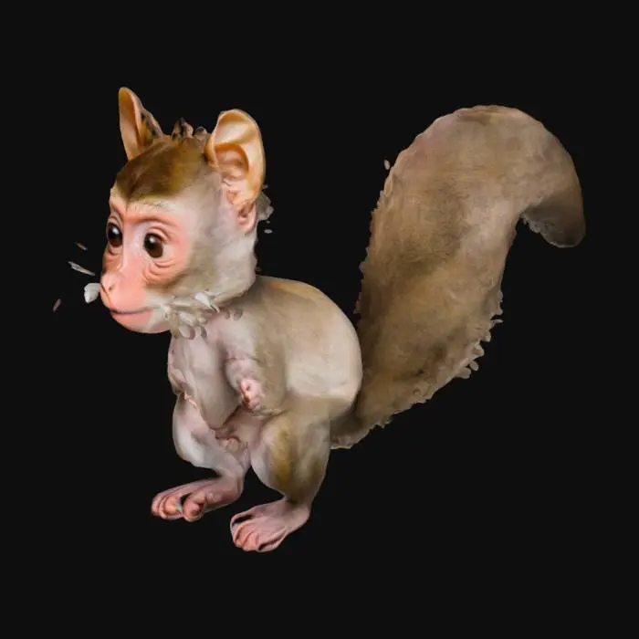 3D model for bonnet macaque with the tail and ears of a squirrel
