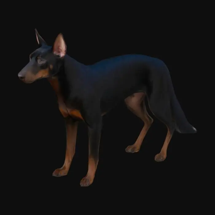 3D model for  skunk with skunk coloring and dobernan hybrid
