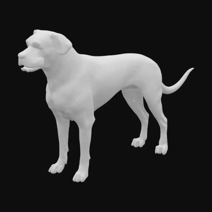 3D model for Canine, Uruguayan Cimarrón