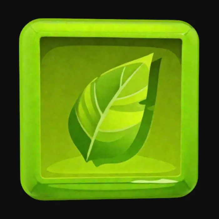 3D model for Leaf Icon