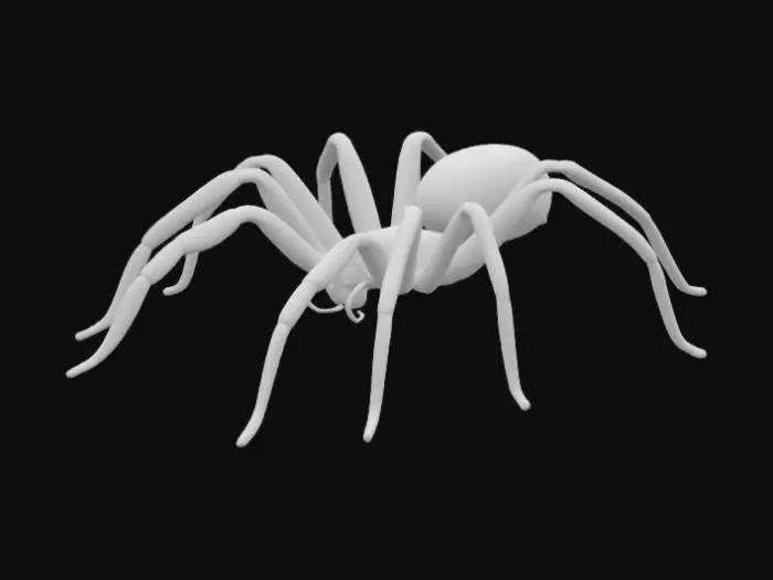 3D model for Spider European black widow a.k.a "Latrodectus tredecimguttatus"