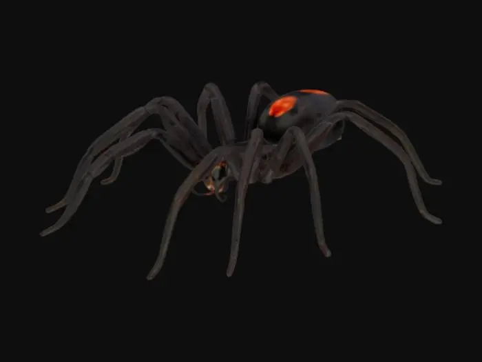 3D model for Spider European black widow a.k.a "Latrodectus tredecimguttatus"