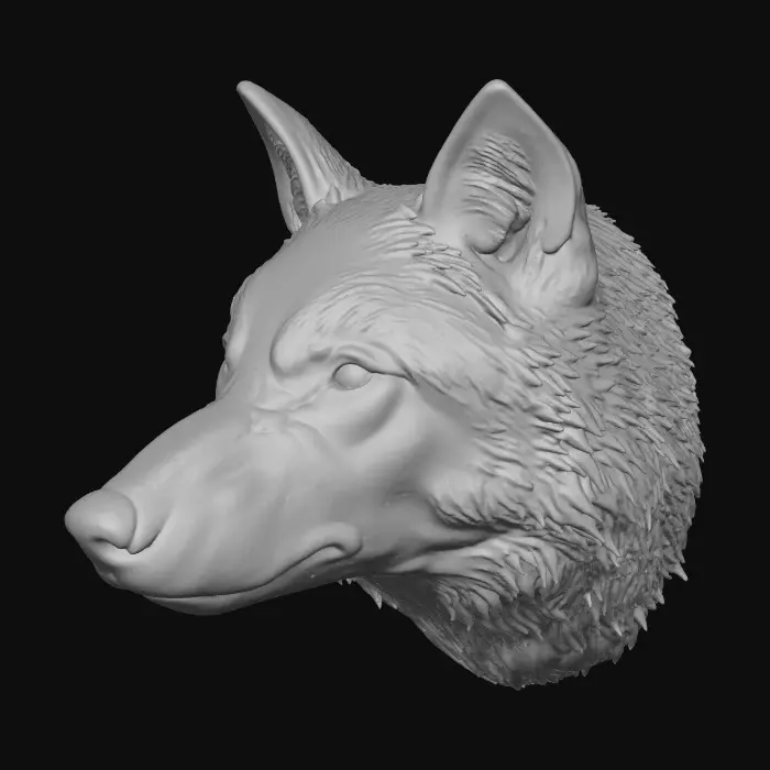 3D model for Majestic Gaze