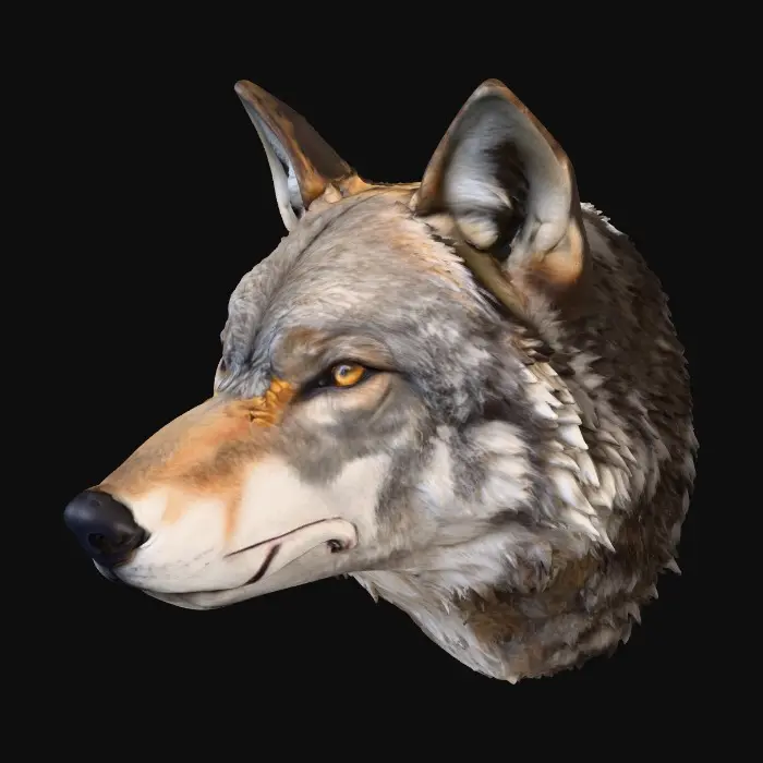 3D model for Majestic Gaze