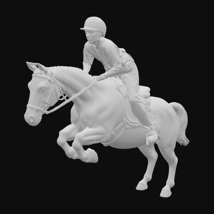 3D model for Equestrian Leap