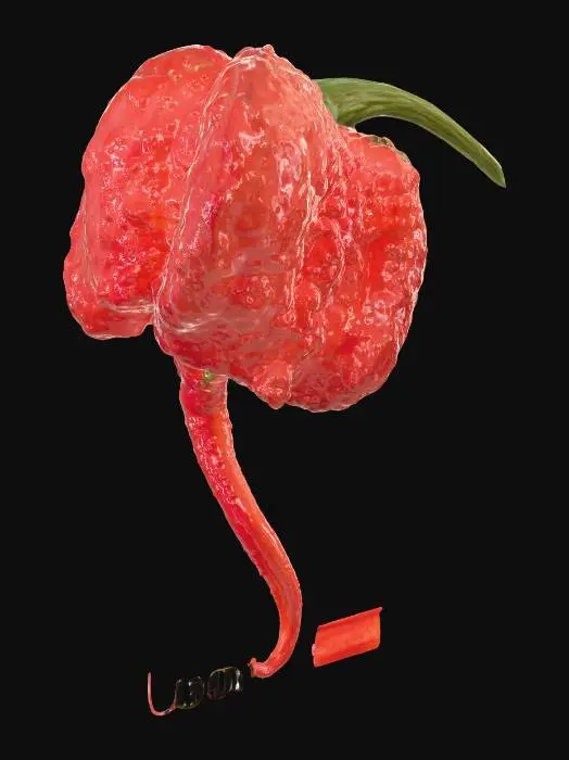 3D model for Carolina Reaper Pepper