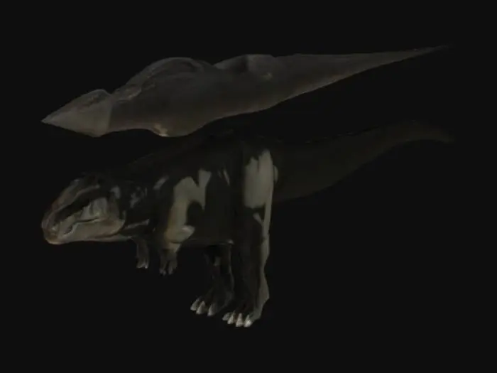 3D model for Tameryraptor Comparison Diagram