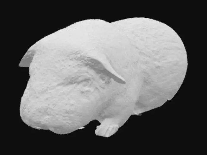 3D model for Guinea Adventure