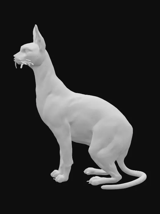 3D model for IMG_0297.jpeg