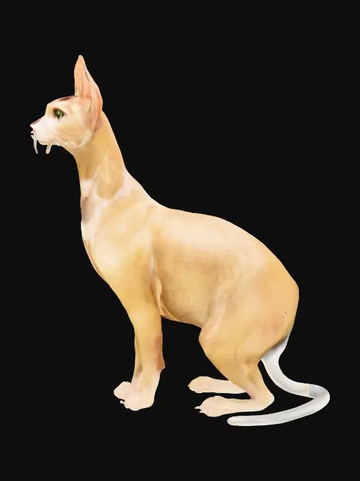 3D model for IMG_0297.jpeg