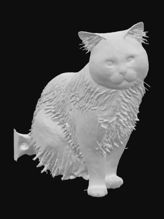 3D model for Curious Cat