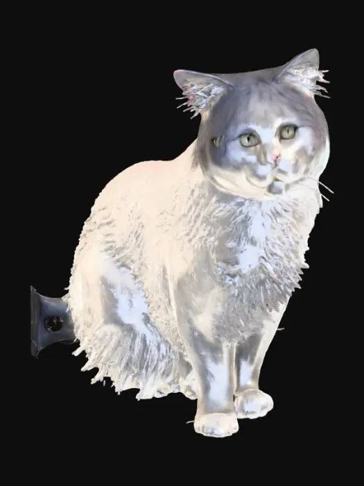 3D model for Curious Cat
