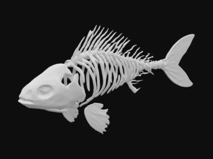 3D model for Grey Fish with ribcage like bones for exoskeleton