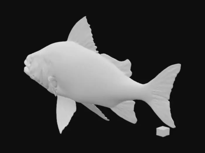 3D model for A sleek, black fish that thrives in polluted waters, its fins coated in a natural oily sheen. Eyes are a polluted yellow.