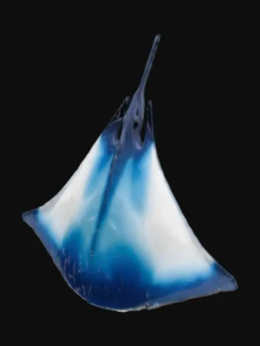 3D model for Manta ray, blue, jelly like skin on top. White skin on bottom