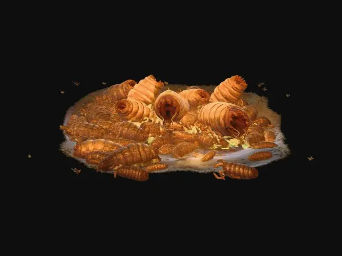 3D model for Maggot Swarm