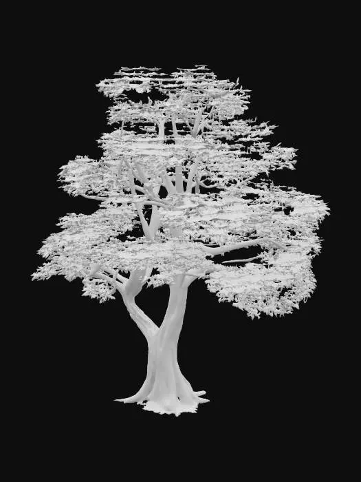 3D model for An autumnal oak tree, its expansive canopy ablaze with warm, rich hues of deep crimson, burnt orange, and golden yellow. The distinct lobed leaves, now brittle and dry, rustle with a papery texture in the breeze. Its thick, rough bark maintains its typical dark grey-brown, providing a grounded contrast to the vibrant foliage. The sturdy, widespread branches form a robust, deciduous silhouette.