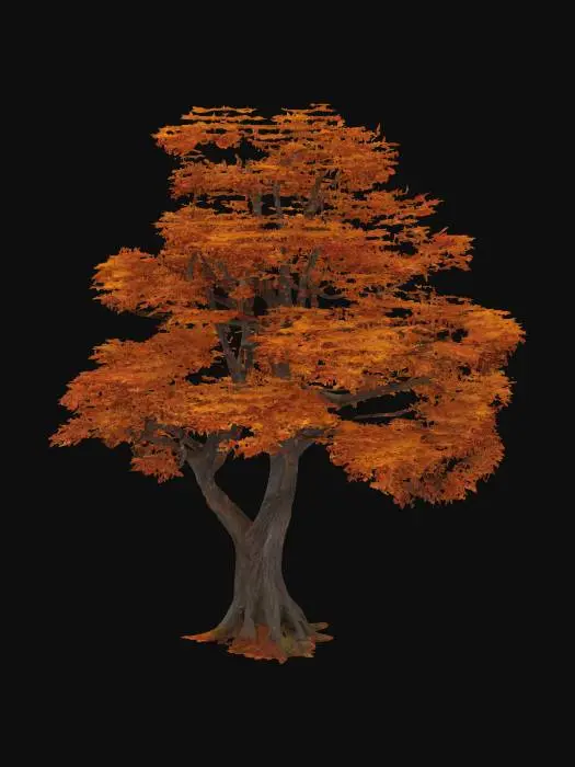 3D model for An autumnal oak tree, its expansive canopy ablaze with warm, rich hues of deep crimson, burnt orange, and golden yellow. The distinct lobed leaves, now brittle and dry, rustle with a papery texture in the breeze. Its thick, rough bark maintains its typical dark grey-brown, providing a grounded contrast to the vibrant foliage. The sturdy, widespread branches form a robust, deciduous silhouette.