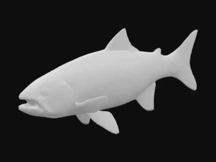 3D model for real, trout, salmon, fish