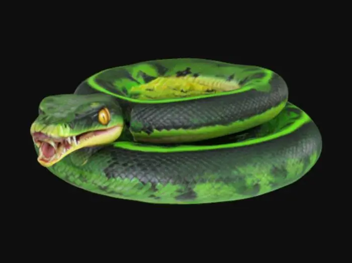3D model for Giant, venomous, snake, with large fangs, real, slithering