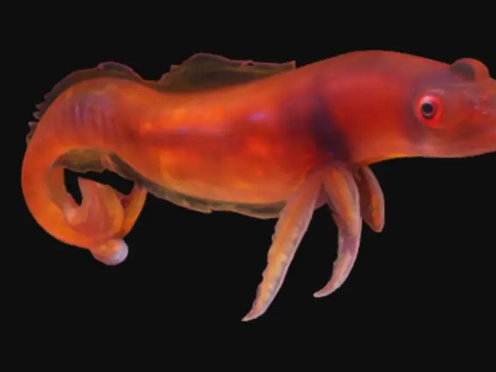 3D model for illuminating jelly eel, glowing, semi-transparent, stunning details, dangerous, clean details highly detailed, ultra realistic, #bioluminescent#