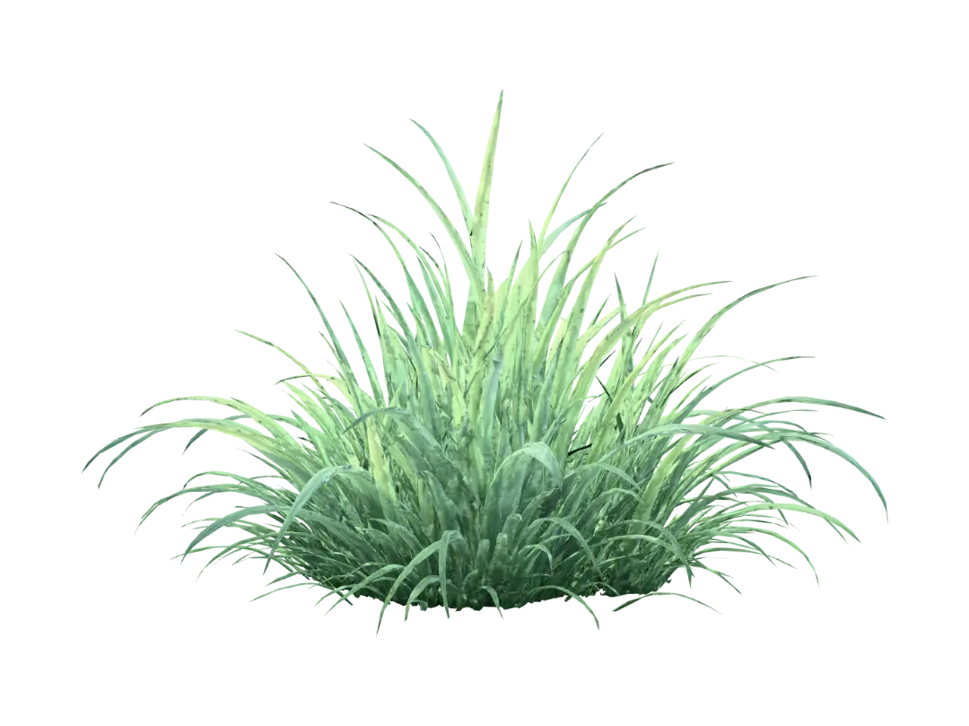 3D-модель Grass Patch 86K Mid Poly - 3dmodel, сгенерированная ИИ