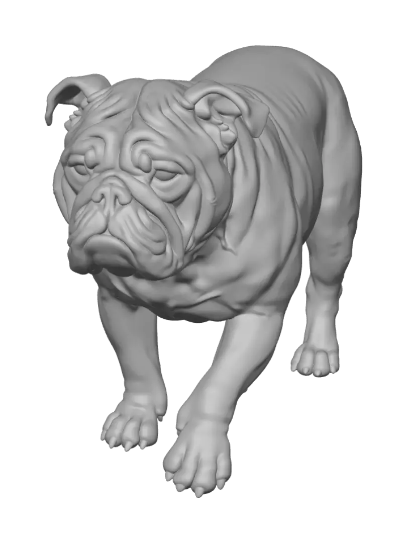 breed