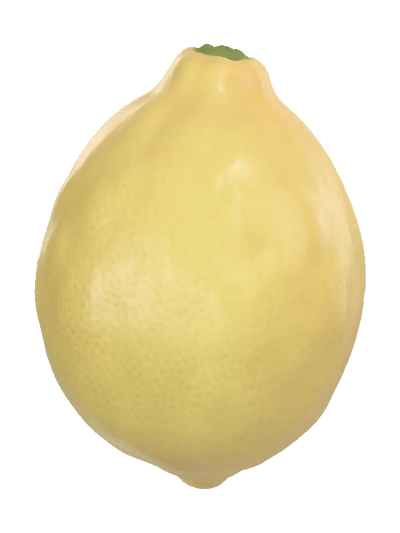 vegetable