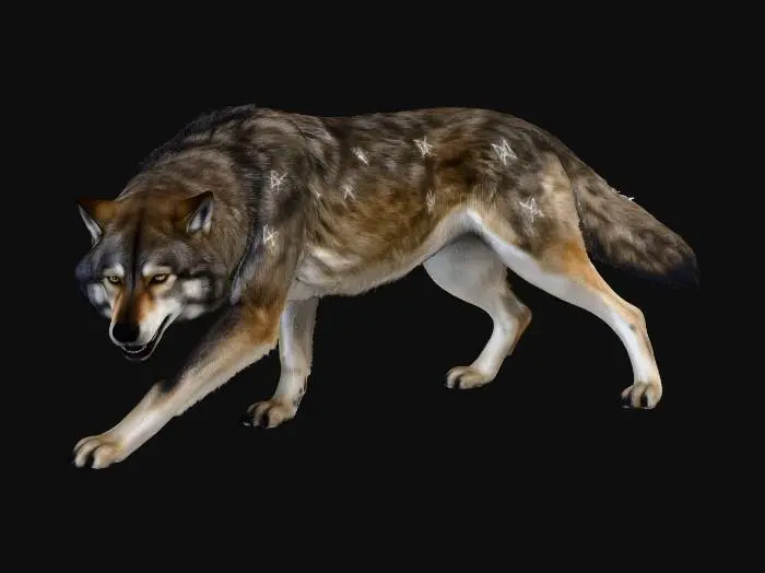 3D model for Lunar Wolf