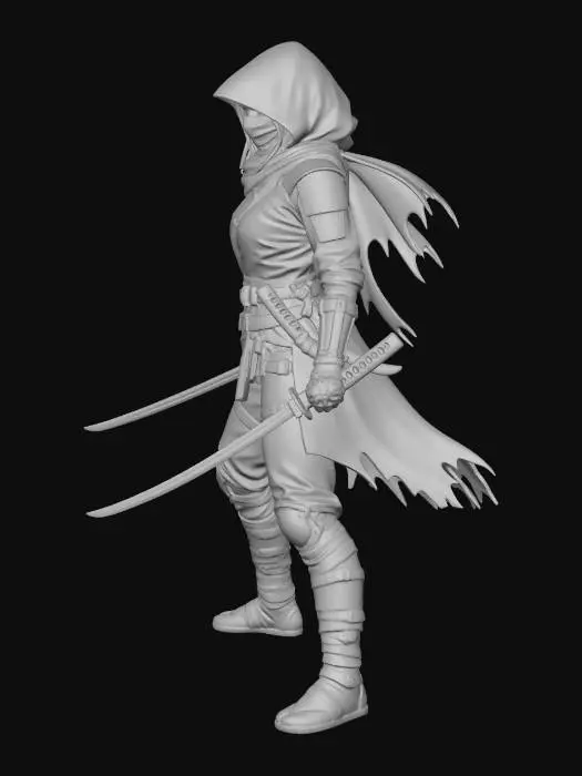 3D model for Stealth Warrior