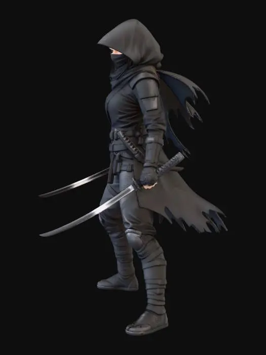 3D model for Stealth Warrior