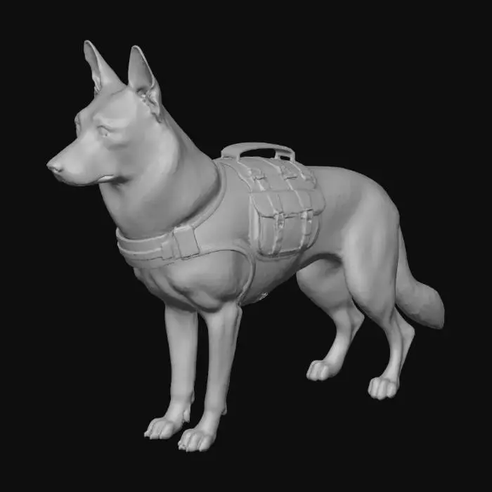 3D model for A German Shepherd dog stands proudly, exhibiting a strong and athletic build. It wears a tactical K-9 dog jacket, possibly made of durable nylon or canvas, with visible straps and buckles. The dog's coat is a striking black and tan, appearing thick and well-groomed, suggesting a dense, soft fur texture. Its ears are sharply erect, and its intelligent dark eyes convey a focused, yet happy and proud expression, reflecting its disciplined posture.
