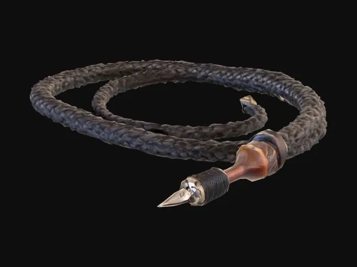 3D model for coiled whip