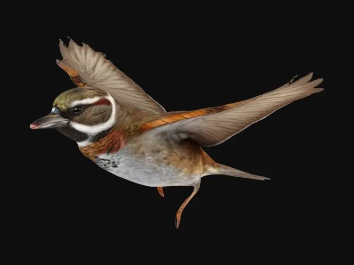 3D model for hyper realistic, extremely detailed īflying sparrow