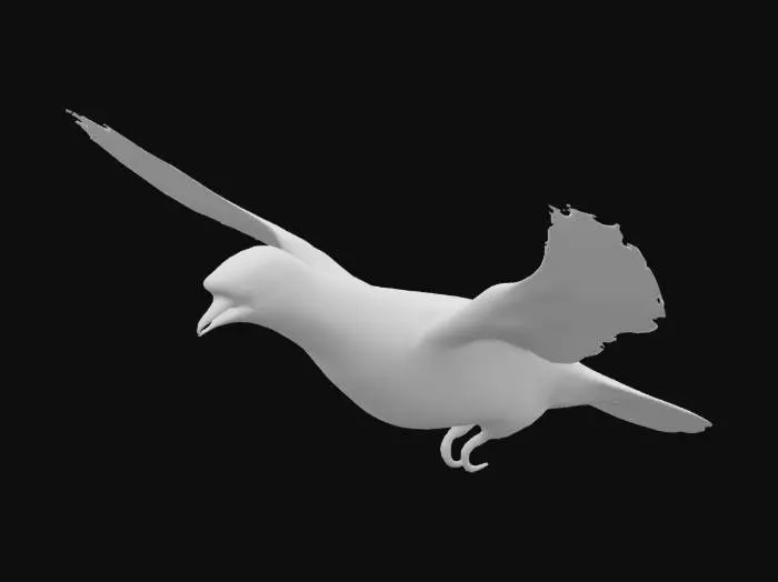 3D model for hyper realistic, extremely detailed flying white dove
