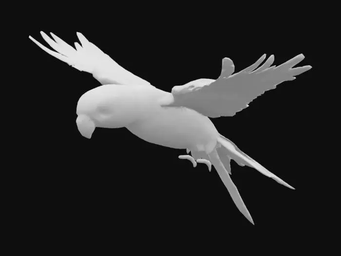 3D model for hyper realistic, extremely detailed flying rainbow lorikeet