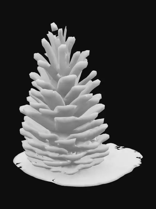 3D model for [California, Sequoia Park] Giant Pinecone Wonder
