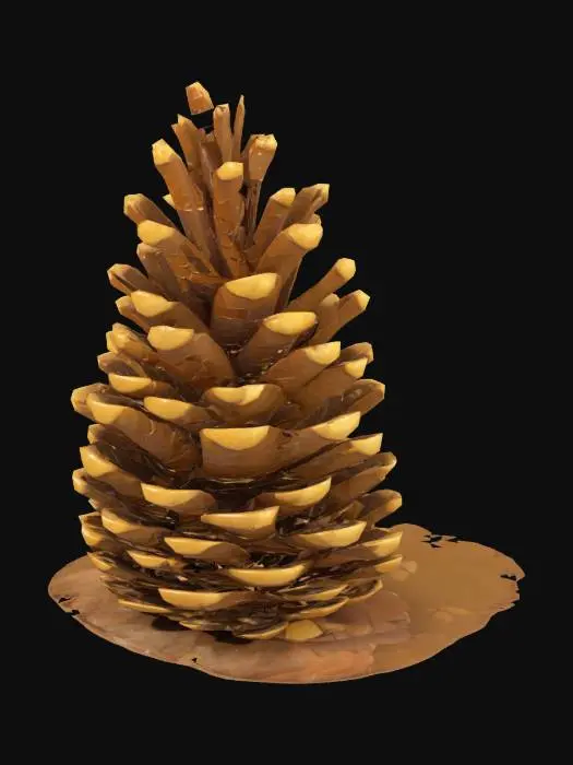 3D model for [California, Sequoia Park] Giant Pinecone Wonder