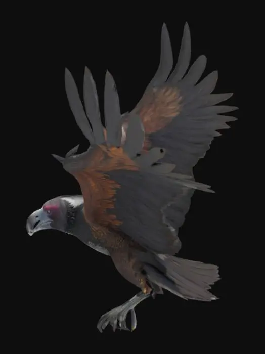 3D model for hyper realistic, extremely detailed flying condor
