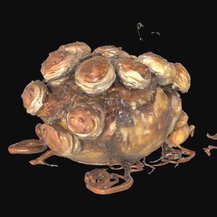 3D model for Alien Cave