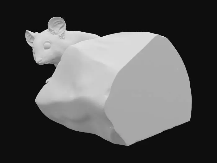 3D model for Mountain Explorer