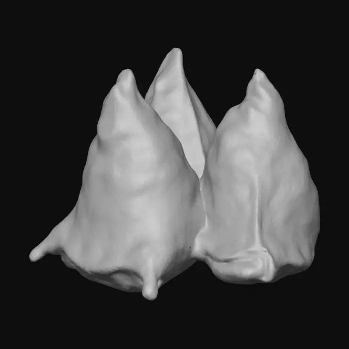 3D model for Samosa Trio