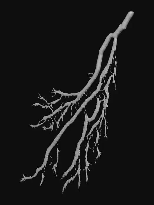 3D model for Electric Veins