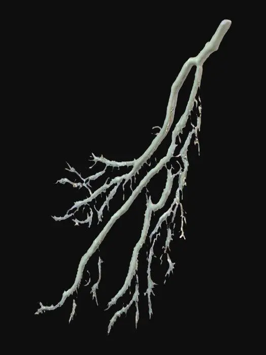 3D model for Electric Veins