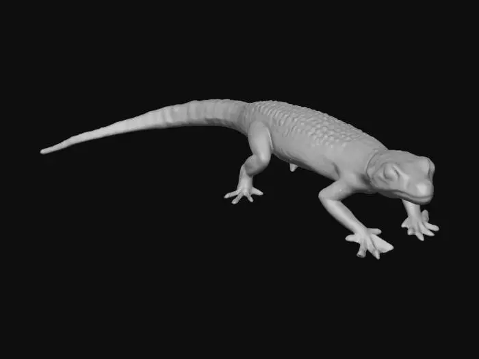3D model for Colorful Gecko