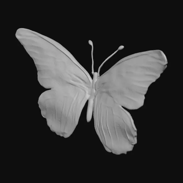 3D model for FARFALLA