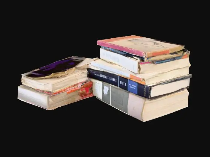 3D model for Classic Literature Collection